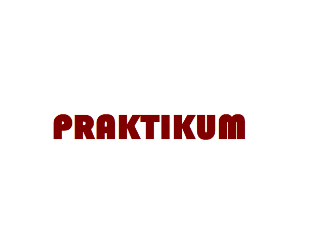 Praktikum doo